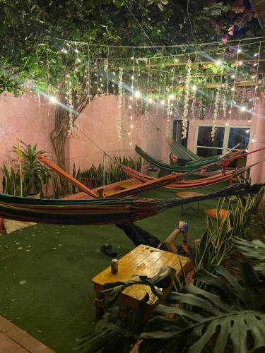 Vegan Garden Hostal