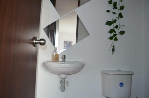Vacaciona En Apartamentos Economicos