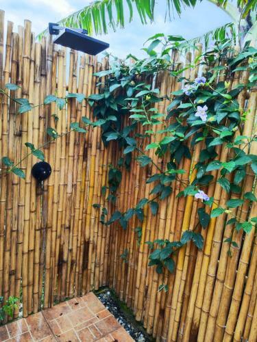 Hotel Rainbow Glamping