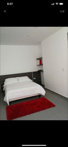 Apartaestudio