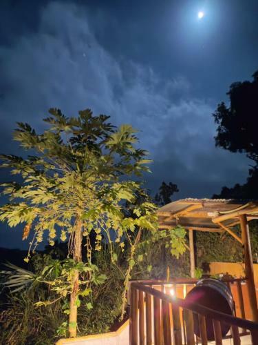 Hotel Frana Lodge