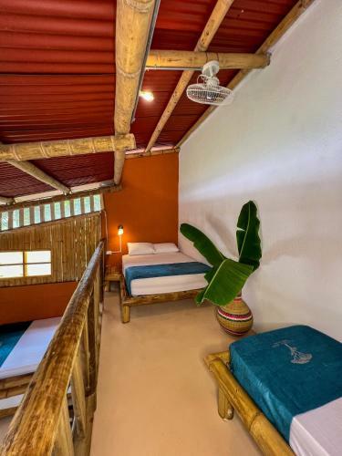 Hotel Tayrona Cachaco River Ecohostal