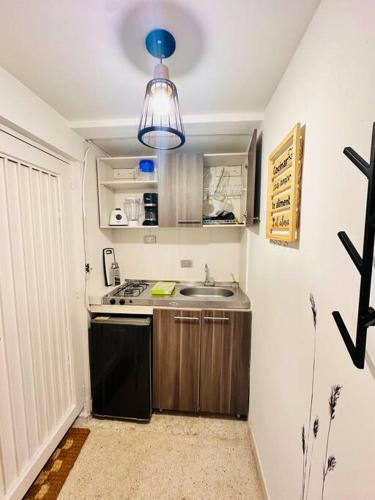 Hermoso Aparta Estudio N�rdico