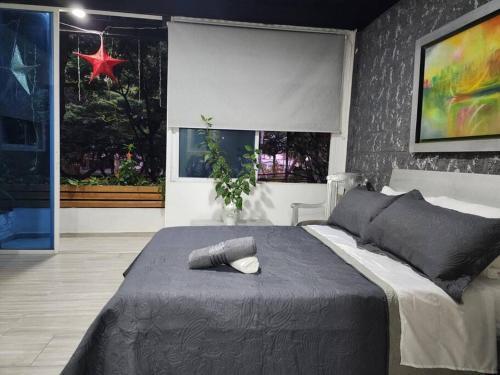 Apartamento Departamento Cali Moderno