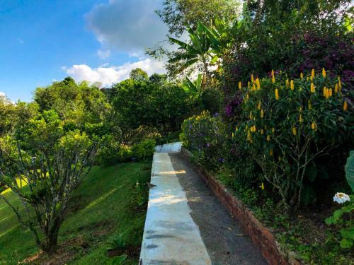 Agroturismo Gaia 4 Elemento