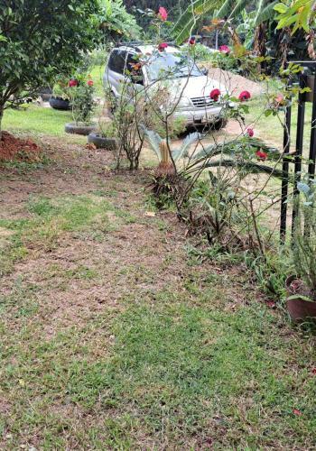 El Rinc�n De Blanquita