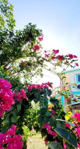 Bed & Breakfast Colorful Garden House