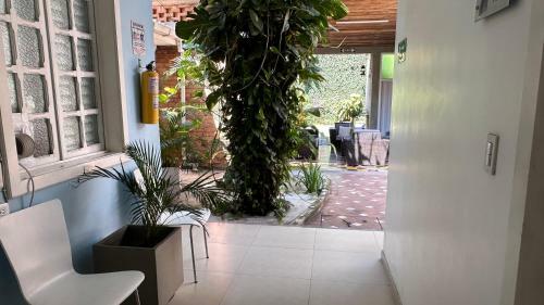 Insitu Recovery Hotel