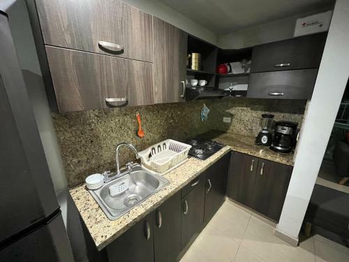 Rivas Apartamentos Palmetto
