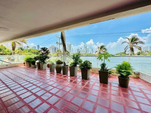 Apartamento Luzcorrea