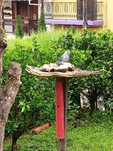Bird House - Apartament