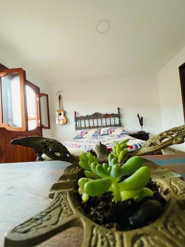 Hostal Paisa Territory Jardin