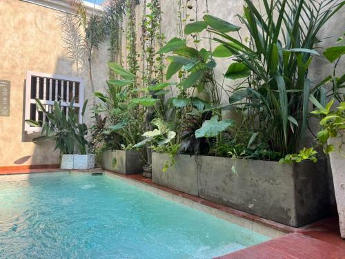 Moet Cartagena Hotel Boutique Adutls Only