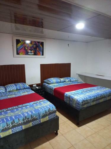 Apartamento Conquistador 318
