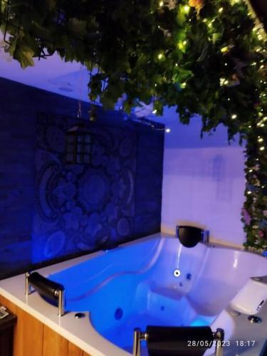Apartamento Penthouse Con Jacuzzi Y Chimenea