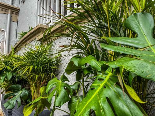 Sr Luis Hotel Boutique - Zona H�roes - Recepci�n Digital 24h