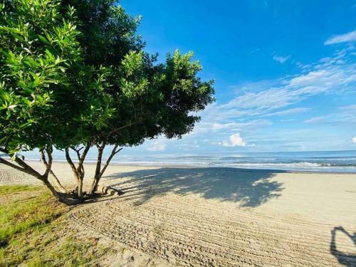 Apartamento �wonderful Beach Loft!