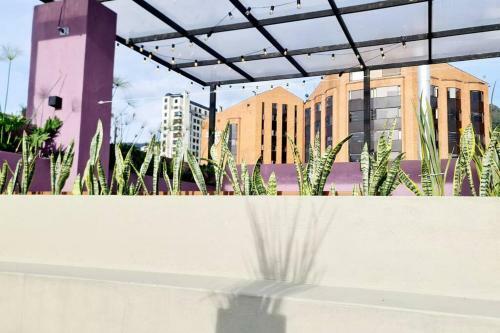 Apartamento Chic Hosty En El Piso Rojo Del Edificio De Colores