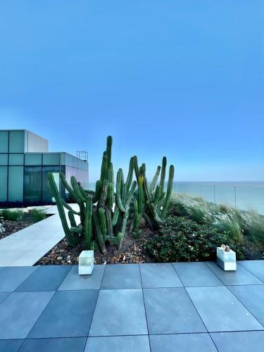 Apartamento Tu Hogar En La Playa - Condominio H2 Apt 2406
