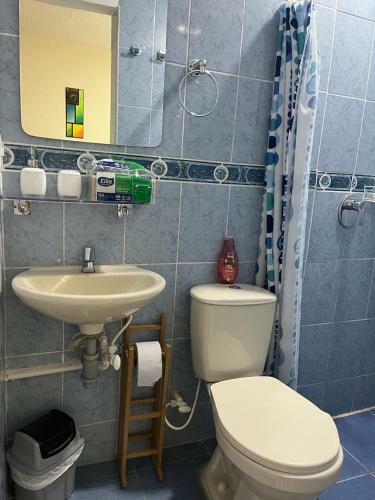 Aparta Estudio Zona Central Ibagu� Versalles