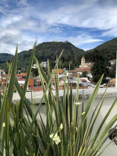 Apartamento La Primera En La Candelaria