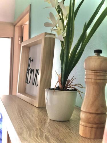 Apartamento Cantaora