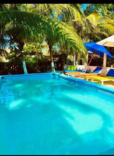 Summer Beachotel