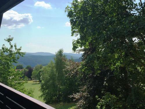 Scenic Apartment In Lenzkirch With Bikes, Balcony