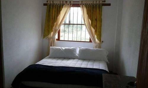 Hotel Ammonite