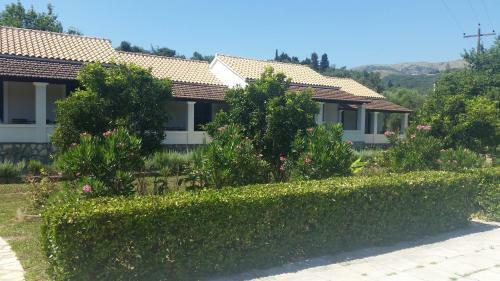 Lemontree Apartments