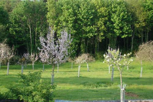 Bed & Breakfast G�te De La Cour