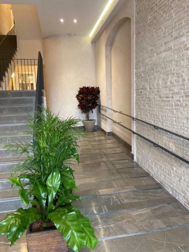 Apartamentos Terra Triana