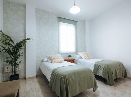 Magno Apartments Siete Revueltas