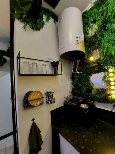 Apartamento Mini Estudio Alameda De Hercules