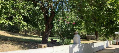Casa Rural Santa Clara