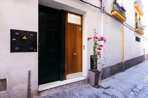 Apartamento El Palomar