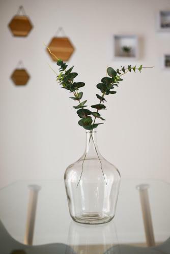 Apartamento Hostfy Centro, Alameda