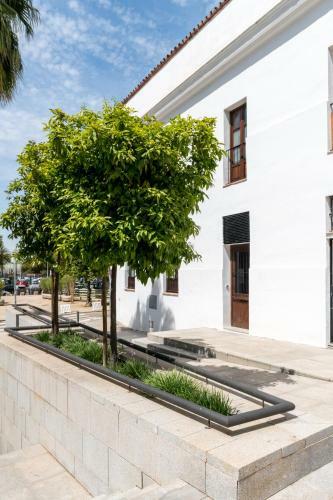 Puerta Real Home Apartment 1