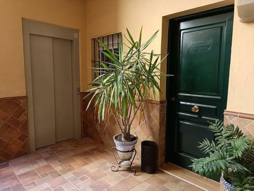 Apartamento Triana Stay