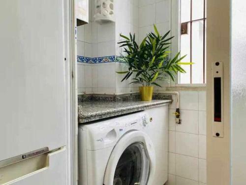 Medina Bonito Apartamento En Centro de Sevilla