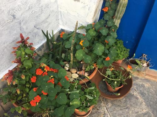 Hostal Casa Visconde De Bouzoes
