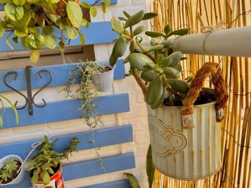Apartamento Junto Al Casco Antiguo Con Terraza