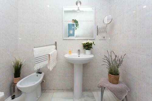 Apartamento Cristo De Burgos 15