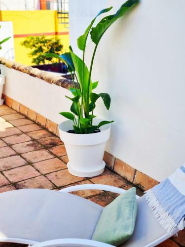 Apartamento Loft & Private Rooftop With Bbq