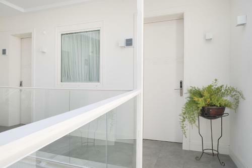 Apartamento Mylu Suites By Puerta Catedral