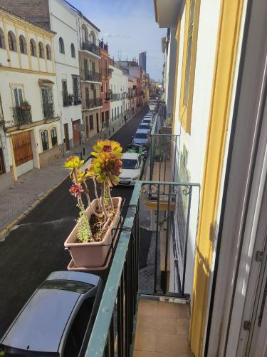 Apartamento Vive Triana