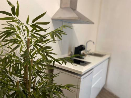 Apartamentos Balcones De Triana