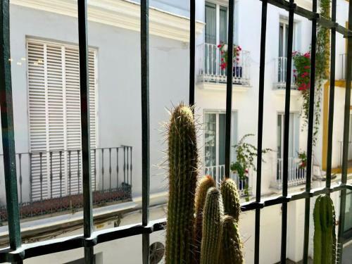 Apartamento Suite Alameda De Hercules