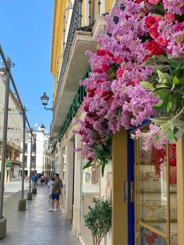 Apartamento Essence Of Seville