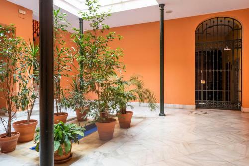 Apartamento Alohamundi Campana II